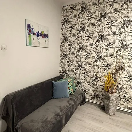 In The Center Διαμέρισμα Κραϊόβα